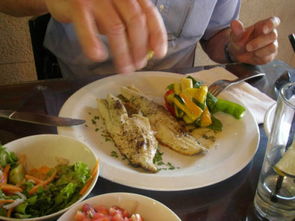 味覺西亞 品嘗以色列特色美食