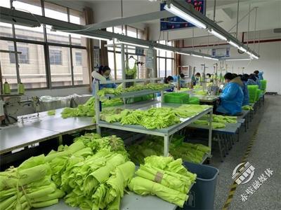新春新氣象，赤壁服裝企業設計先行，全力沖刺“開門紅”